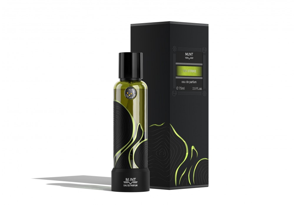 small photo AFFECTING MIND 0